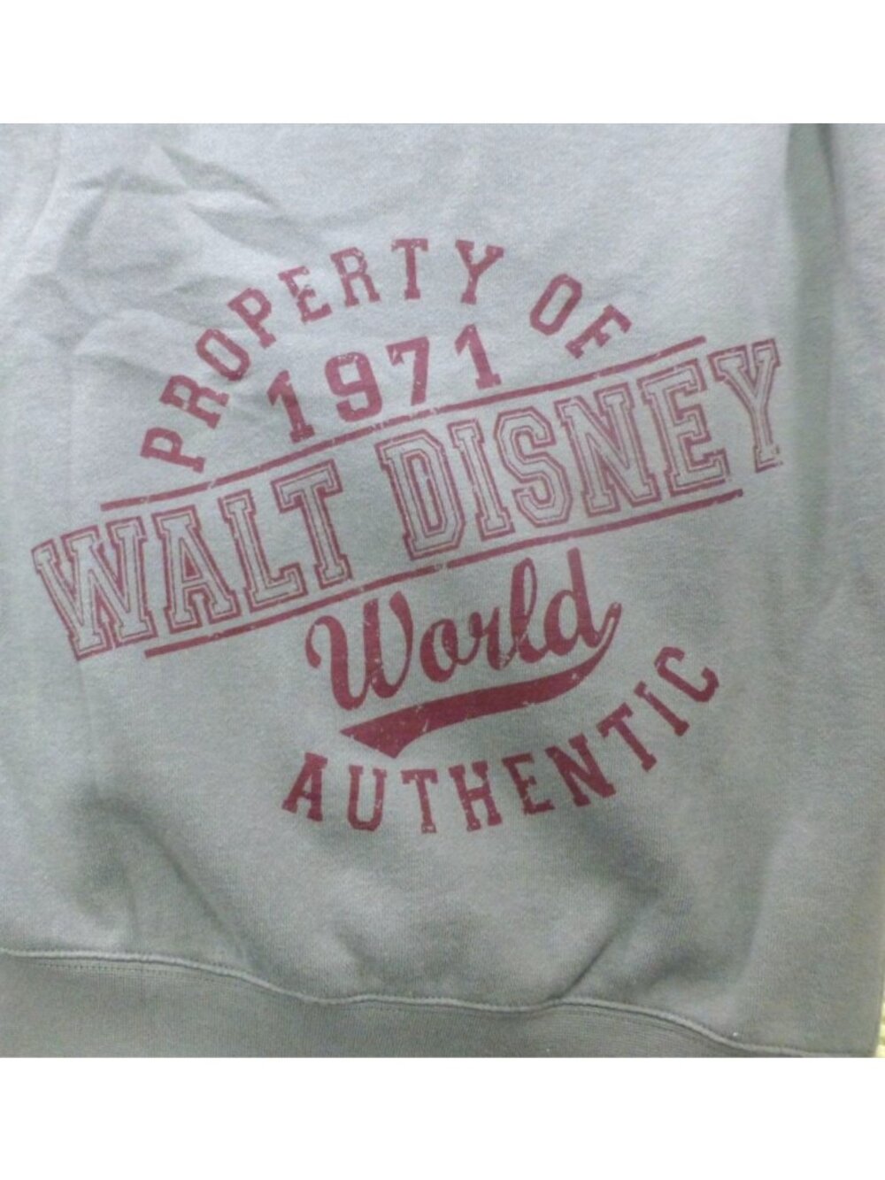 Disney Parks Gray Full Zip-Up Hoodie 1971 Walt Disney World Large Authentic - Picture 15 of 16